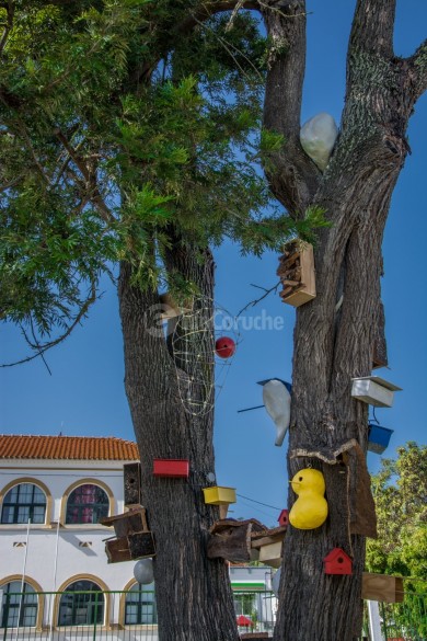 Jardim João de Deus