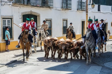 Cortejo Histórico e Etnográfico 2019