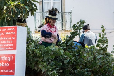 Cortejo Histórico e Etnográfico 2019