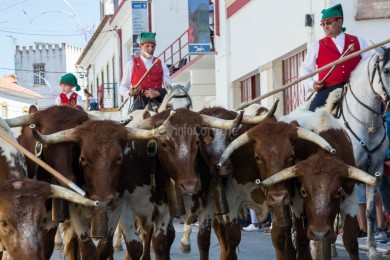 Cortejo Histórico e Etnográfico 2019
