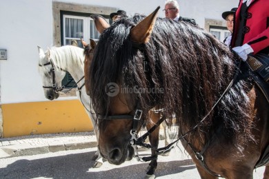 Cortejo Histórico e Etnográfico 2019