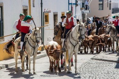Cortejo Histórico e Etnográfico 2019