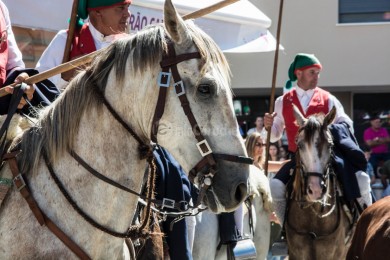 Cortejo Histórico e Etnográfico 2019