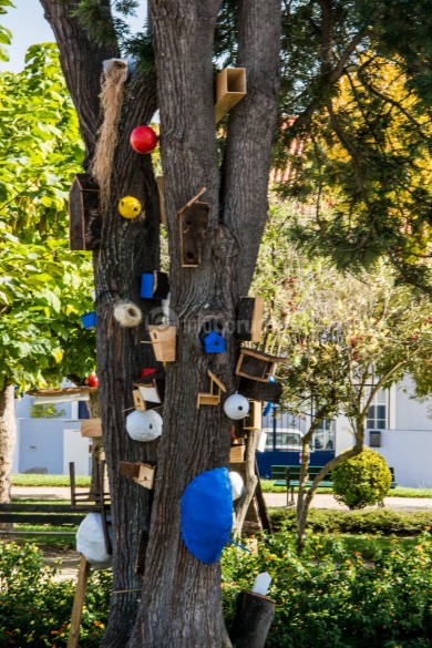 Jardim João de Deus