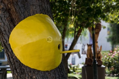 Jardim João de Deus