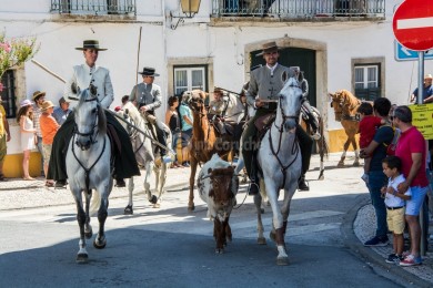 Cortejo Histórico e Etnográfico 2019