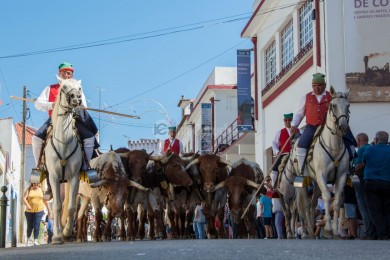 Cortejo Histórico e Etnográfico 2019