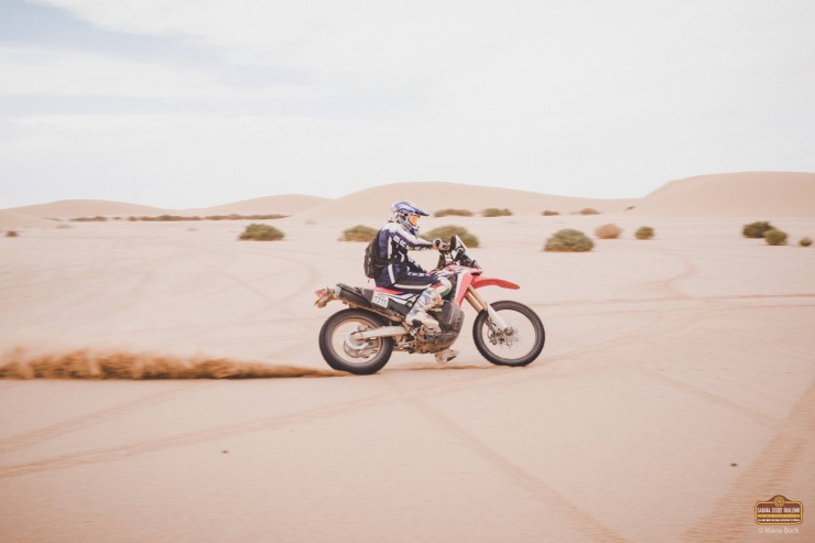 Sahara Desert Challenge