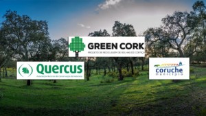 Green Cork